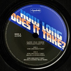 Mildlife - How Long Does It Take? (Baldelli & Dionigi Remix)