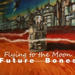 Flying To The Moon