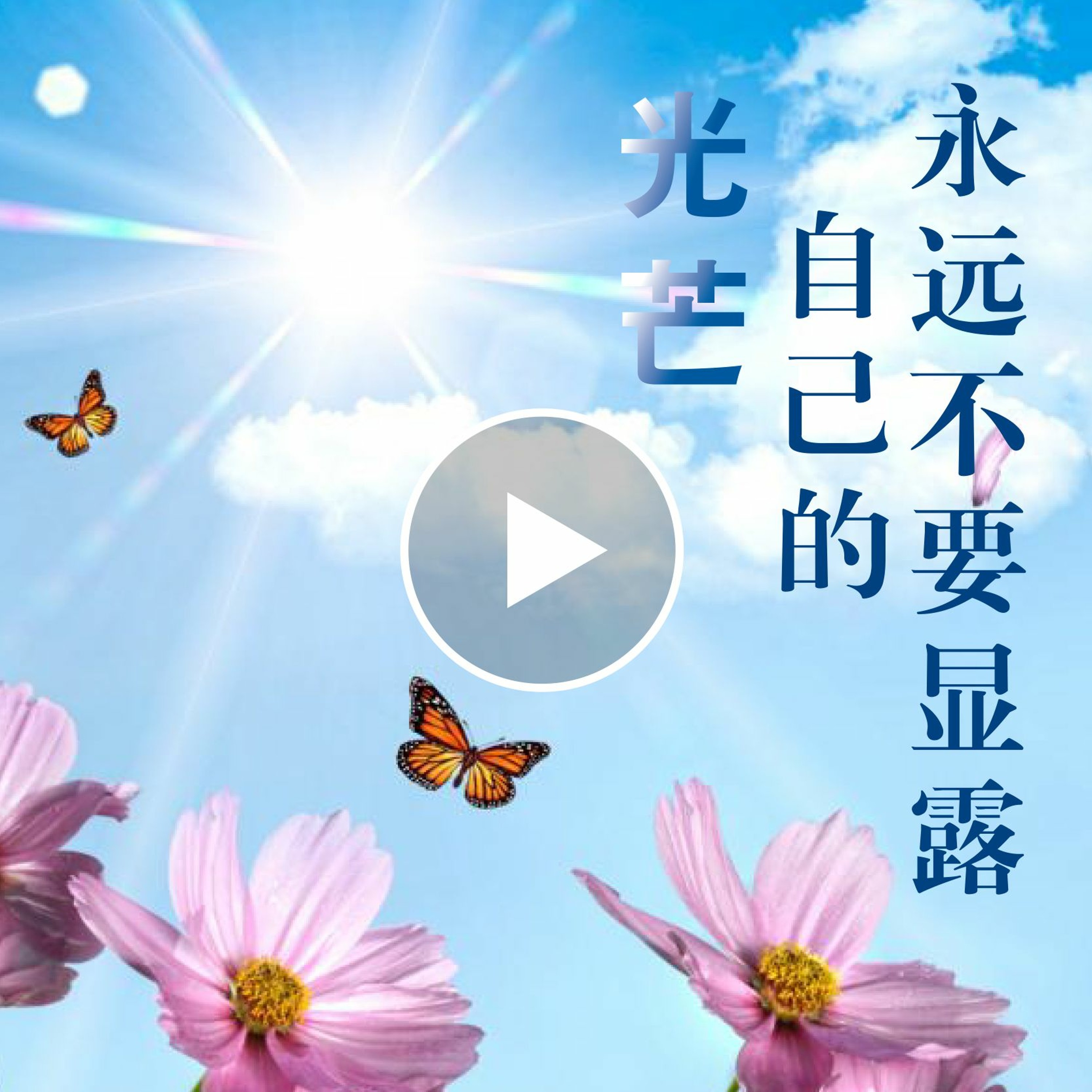 wenda190308 永远不要显露自己的光芒 episode artwork