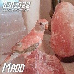 SzRz022 - MADD - Na hardstyle i na frenchcore znajdę miejsce
