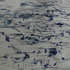 Lisa Streich SERAPH Violoncello und Orgel