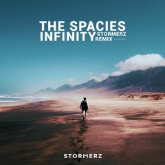 The Spacies - Infinity (Stormerz Remix)