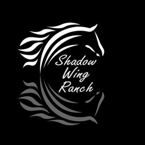 Stream episode Meet Your Neighbors - 4-10-19 - Karen Jackson, Shadow ...