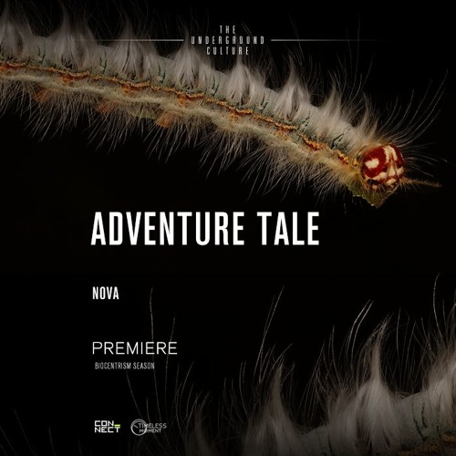 PREMIERE: Adventure Tale - Nova (Original Mix) [Timeless Moment]