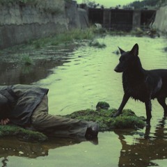 PHOTOGRAPH OF A BLACKHOLE