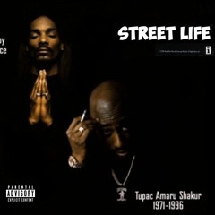 Snoop Dogg & 2pac - Street Life (OG)