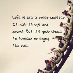 (life is like) a roller coaster:  /khali moon/ alexander fuse/