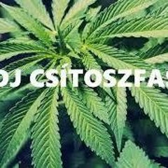 JOHN CENA KIÜTŐS KATTOGTATÓS MIX