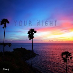 Shag - Your Night