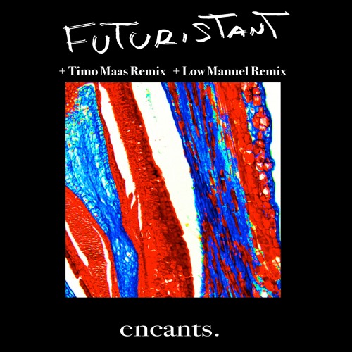 walking in the syrup walls