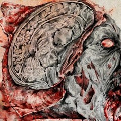MaggotbrainZ (feat. Javamob)