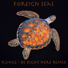 Kungs - Be Right Here ( Foreign Seas Remix )