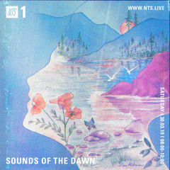 Sounds of the Dawn NTS Radio March 30th 2019