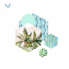 cactus flower - fauna