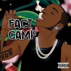 Fact Camp