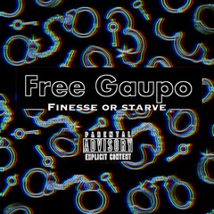 Finesse Or Starve - FinesseDon