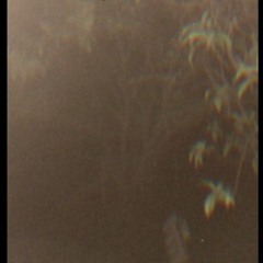 Quiet Rhymes ft Craig Kong (prod. Dallas Cooper)Mixed x Danberry