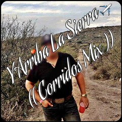 Corridos De La Sierra ( Elementos, Potro, Alegres, Y Austeros )