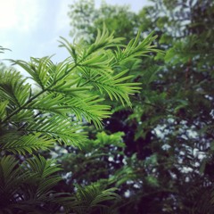 You Can Never Get Anything Wrong