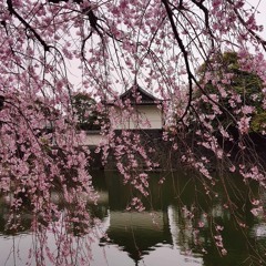 New & hot: Ambient