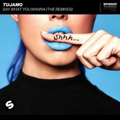 Tujamo - Say What You Wanna (Dejack Official Remix)
