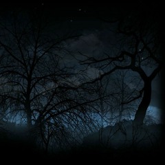 Silent Hill Soundtracks +w+