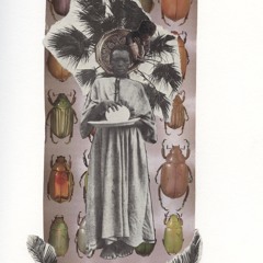 Palm