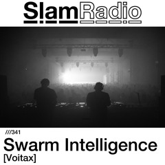 #SlamRadio - 341 - Swarm Intelligence