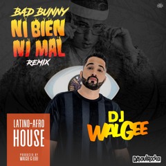 NI BIEN NI MAL DJ WALGEE REMIX (Latino Afro House)
