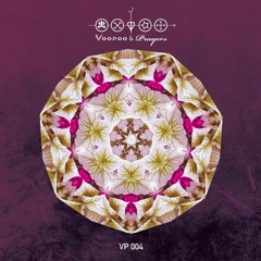 VP004 Moojaa & Norman H - Hidden Depths (Justin Steel Remix)