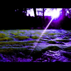magical imagination