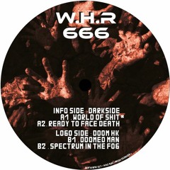 B2 . Doom Hk  "Spectrum In The Fog" Watt Hellz Records 666 (out of stock)