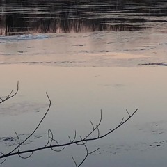 Hearing the River's Flows