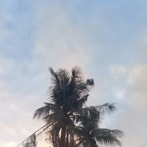 faded (w/ bsd.u)