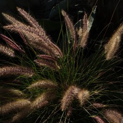 Subsequent Reflections (2019 Version)