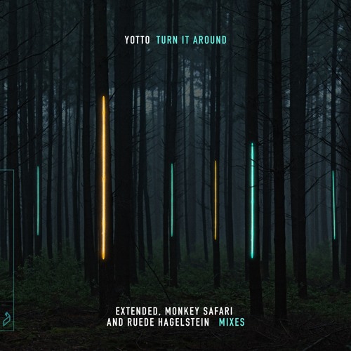 Yotto - Turn It Around (Monkey Safari Remix)