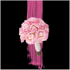 Black Beauty /BlackNerdNinja/ Celest Ngeve/ Production by FWP Beats