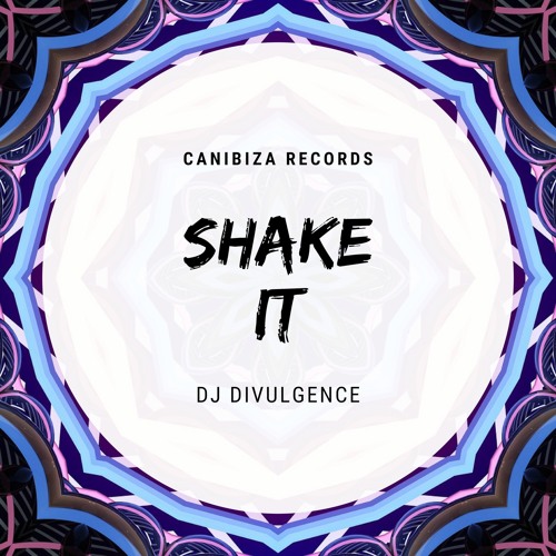 Dj Divulgence - Shake It