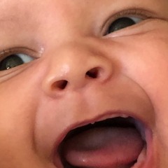 Link's Lullaby Feat. Pauly-O