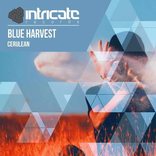Blue Harvest - Cerulean [Intricate Records]