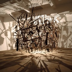 Patterns of Behaviour