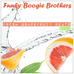 Gramophone Soul - The Get Down (Funky Boogie Brothers remix)