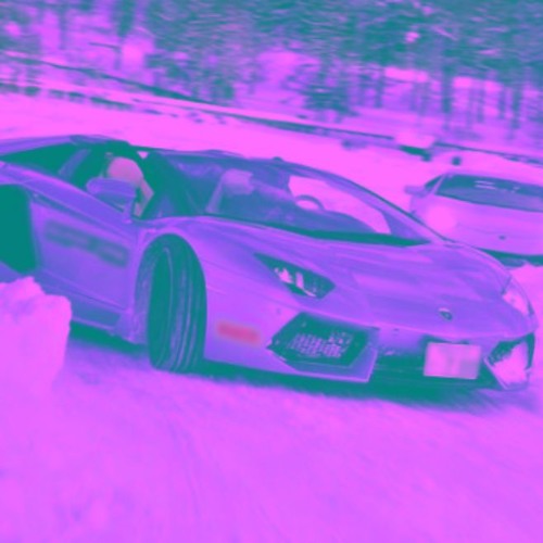 LamborghiniS w/ Swallow X