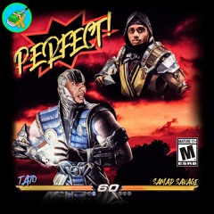 Perfect (feat. Samad Savage)