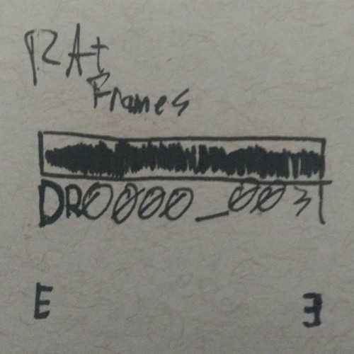 E#3 - Rat Frames - DR0000_0031