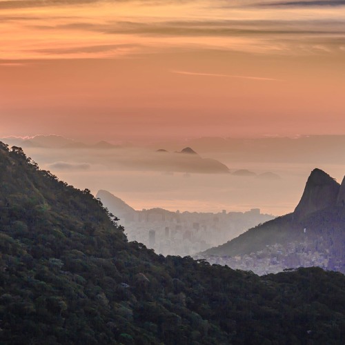 The Industrialism - Nicolas