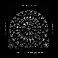 After Life Remix (Tchami).