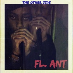 THE OTHER SIDE - FL. ANT