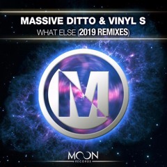Massive Ditto, Vinly S - What Else Feat.Caro (Bagagee Viphex13 Remix)