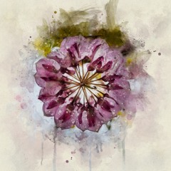 Captures - Beacon Ft. POAN